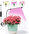 GROWSTAR 1-Head Soil-Inserted Height Adjustable Grow Lamp