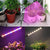 GROWSTAR 1-Head MINI LED Grow Light with Stand